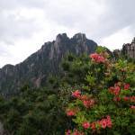 三清山玉華峰農莊