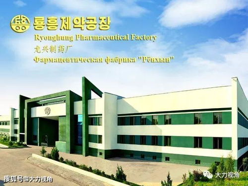 朝鮮龍興制藥廠 華峰產(chǎn)品介紹與朝鮮正規(guī)醫(yī)藥產(chǎn)業(yè)一瞥