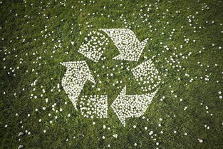 東湖高新集團(tuán)園區(qū)企業(yè)鼎業(yè)環(huán)保榮獲五項(xiàng)國(guó)家實(shí)用新型專(zhuān)利，助力環(huán)保技術(shù)推廣服務(wù)